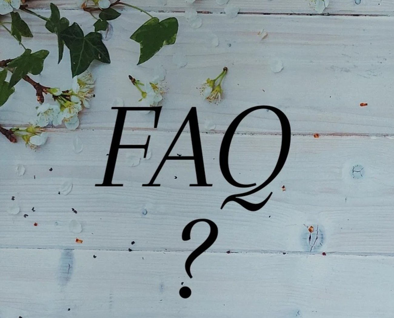 FAQs